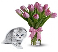 Шотландский вислоухий котёнок серебритсый пятнистый (окрас как в рекламе вискас) с цветами